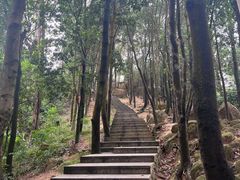 -火炉山森林公园