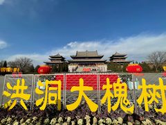 -大槐树寻根祭祖园