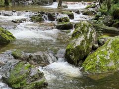 -牛背梁国家森林公园