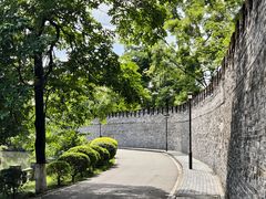-桂湖森林公园