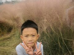 -王借岗森林公园