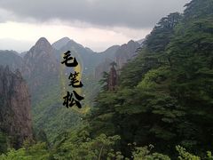 -黄山风景区