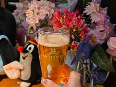 皮尔森啤酒-布拉格餐厅· 中欧捷克菜(全国首店)