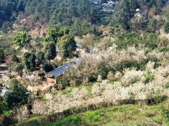 -樱桃山旅游景区