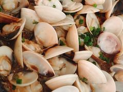 -喜上喜鸡煲翅(吉大店)