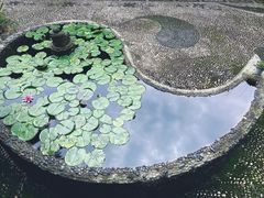 -都江堰普照寺