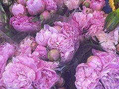 -循礼门鲜花花市(武汉循礼门店)