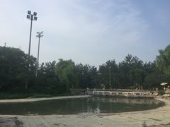 -柳浪游泳场