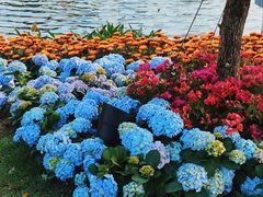 -荔湾湖公园