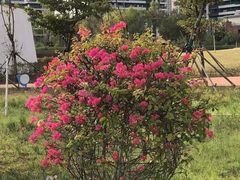 -北海金海湾红树林生态旅游区