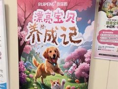 -美联众合爱康动物医院•复杂内科•肿瘤科•牙科•腔镜诊疗中心