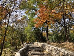 -阳台山自然风景区