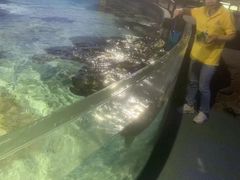 -福州罗源湾海洋世界旅游区