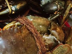 -龙海鲜螃蟹王(宏茂桥店)