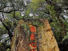 -青芝山风景名胜区