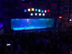 -泉城欧乐堡海洋极地世界
