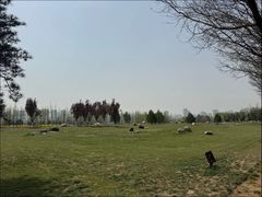 -汉长安城未央宫国家考古遗址公园