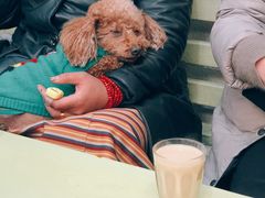 -老光明岗琼甜茶馆