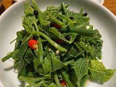 木姜子伴丝瓜尖-一坐一忘云南菜(嘉里中心店)