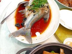 -有腥气私房菜·寻味顺德