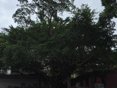 -闽粤南澳总镇府