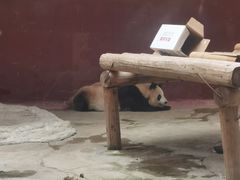-杭州野生动物世界