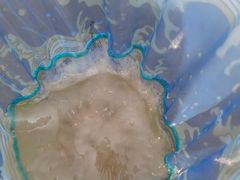 -金梦海湾浴场