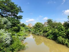 -碧桂园润杨溪谷温泉酒店