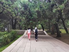 -黄帝陵