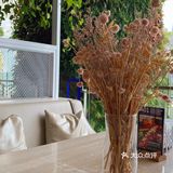 收藏很久终于打卡的网红brunch店