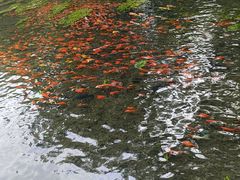 -水磨沟公园