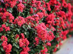 -杭州城北体育公园