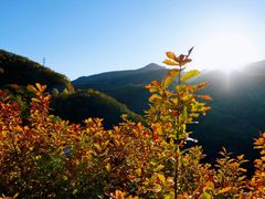 -云蒙山风景区