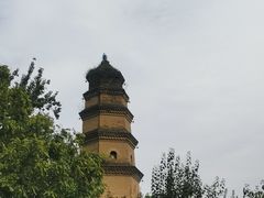 -魏家凉皮(博水商务大厦店)