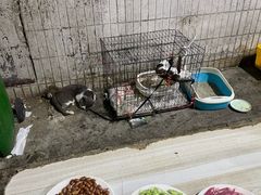 -清真·白家牛肉罩火烧老店(育才街店)