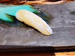-鮨鳳