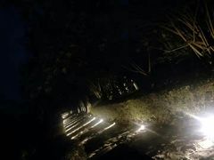 -石燕湖生态旅游景区