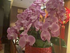 -手佳·水疗汇(杏林宁宝店)