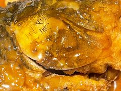 -阿五黄河大鲤鱼(纬三路店)