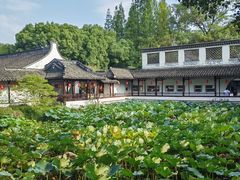 -上海醉白池公园
