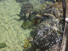 -福州罗源湾海洋世界旅游区