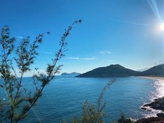 -广东惠东海龟国家级自然保护区