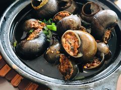 田螺塞肉-海宁煲店(北随塘河路店)