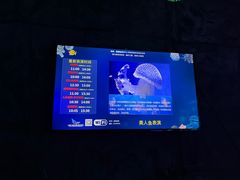 -合肥海洋世界