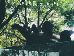 -无锡动物园·太湖欢乐园