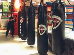 -FC格斗拳馆(东街店)