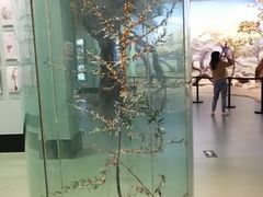 -青藏高原自然博物馆