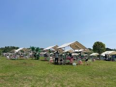 -梁子湖东篱老屋生态庄园