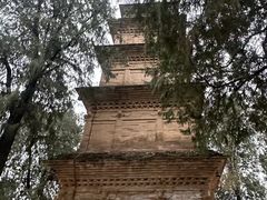 -兴教寺