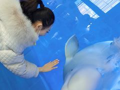 -泉城欧乐堡海洋极地世界